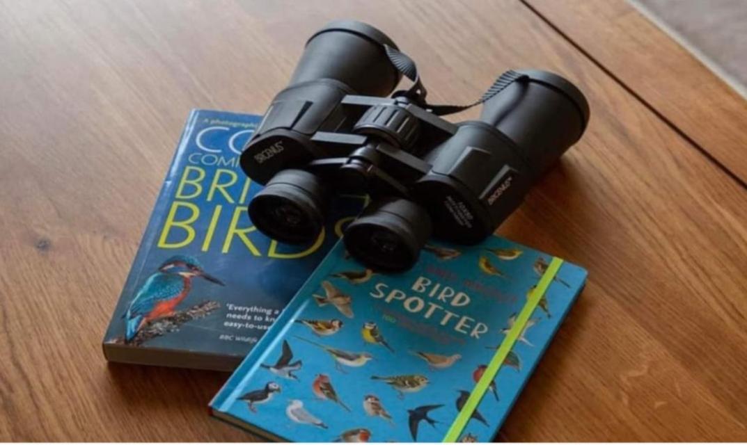 Cresswell  The Gull & Puffin Cresswell 빌라 외부 사진